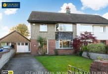 HOUSE TOUR: 17 CASTLE PARK, MONKSTOWN